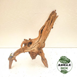 Racine Sinknature 20-45 cm – Décoration naturelle pour terrarium