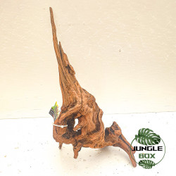 Racine Sinknature 20-45 cm – Décoration naturelle pour terrarium
