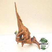 Racine Sinknature 20-45 cm – Décoration naturelle pour terrarium