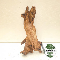 Racine Sinknature 20-45 cm – Décoration naturelle pour terrarium