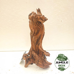 Racine Sinknature 20-45 cm – Décoration naturelle pour terrarium