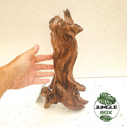 Racine Sinknature 20-45 cm – Décoration naturelle pour terrarium