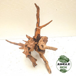 Racine Sinknature 20-45 cm – Décoration naturelle pour terrarium