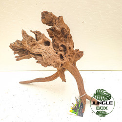 Racine Sinknature 20-45 cm – Décoration naturelle pour terrarium