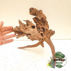 Racine Sinknature 20-45 cm – Décoration naturelle pour terrarium
