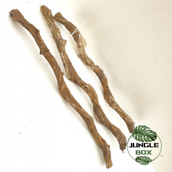Liane naturelle Sambawa 60 cm (4-6 cm de diamètre)