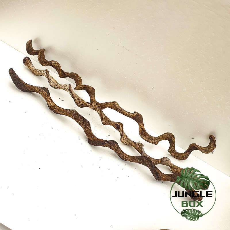 Liane naturelle Sambawa 60 cm (2-3 cm de diamètre)