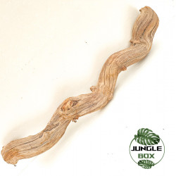 Ces lianes naturelles sont idéales pour décorer votre terrarium.