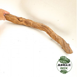 Ces lianes naturelles sont idéales pour décorer votre terrarium.