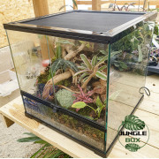 Terrarium planté 45x45x45 cm avec éclairage LED et sélection de plantes tropicales