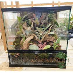 Terrarium planté 45x45x45 cm avec éclairage LED et plantes tropicales