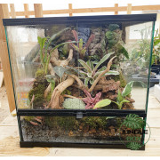 Terrarium planté 45x45x45 cm avec éclairage LED et plantes tropicales