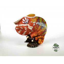 Figurines animaux