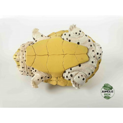Kinosternon carinatus figurine tortle