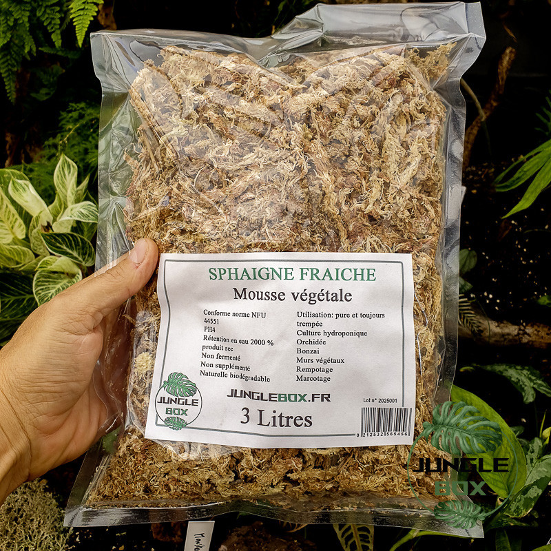 Moss Sphaigne 3 L Moss Sphaigne 3 L