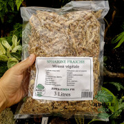 Moss Sphaigne 3 L