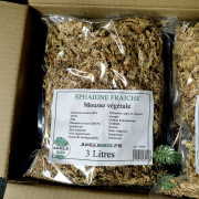 Sphaigne du Chili – Substrat Retenteur & Aéré | JungleBox
