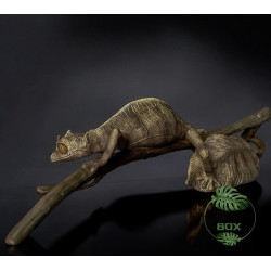 Réplique Gecko Feuille de Madagascar – Uroplatus fantasticus échelle 1:1 | Sculpture réaliste sur commande