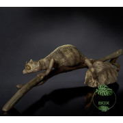 Réplique Gecko Feuille de Madagascar – Uroplatus fantasticus échelle 1:1 | Sculpture réaliste sur commande Réplique Gecko Feuille de Madagascar – Uroplatus fantasticus échelle 1:1 | Sculpture réaliste sur commande