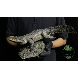 Réplique Alligator nageant – Échelle 1:10 réaliste pour terrarium | JungleBox