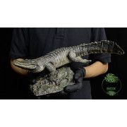 Réplique Alligator nageant – Échelle 1:10 réaliste pour terrarium | JungleBox