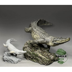 Réplique Alligator nageant – Échelle 1:10 réaliste pour terrarium | JungleBox
