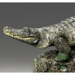 Replique Alligator swimming Echelle 1:10