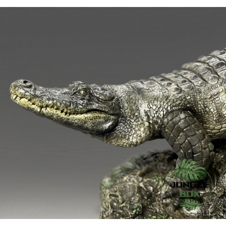 Replique Alligator swimming Echelle 1:10
