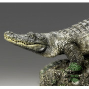 Replique Alligator swimming Echelle 1:10