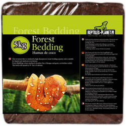 Reptiles Planet Forest Bedding 5 kg – Substrat naturel coco-humus pour terrariums