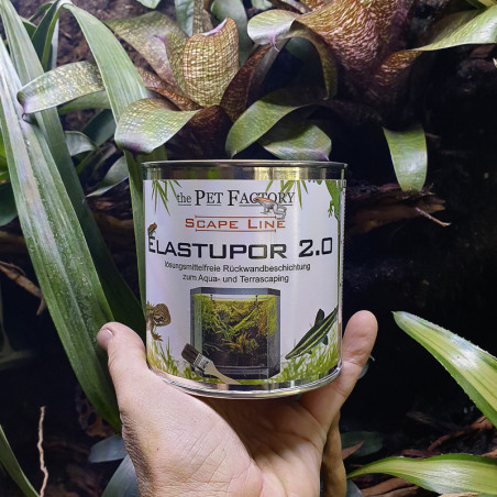 Elastupor 2.0 de 1kg terra scaping
