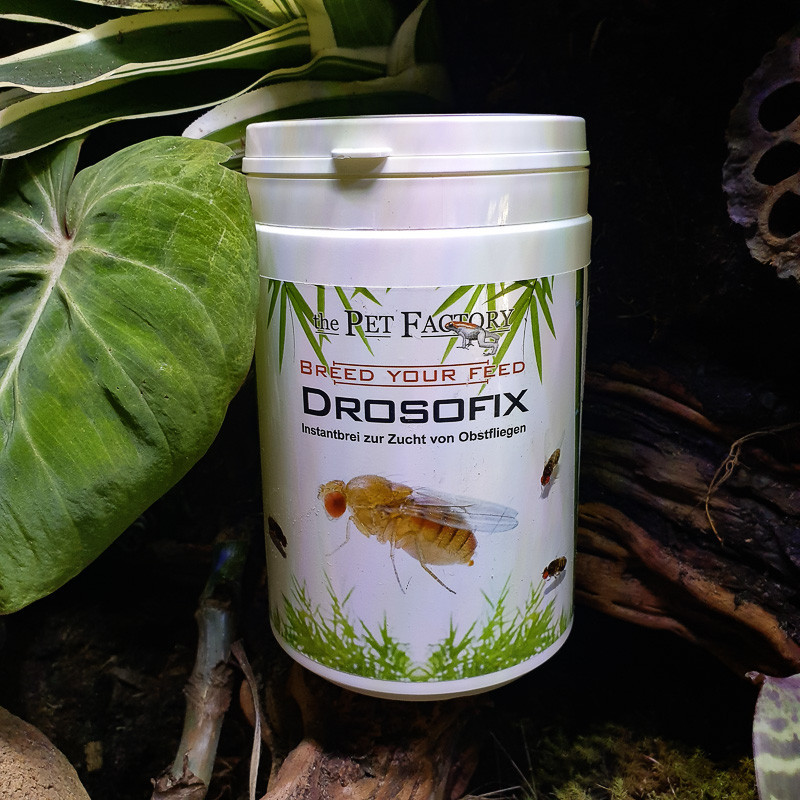 Drosofix 500 g – Substrat nutritif pour drosophiles | JungleBox