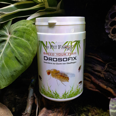 Drosofix 500 g – Substrat nutritif pour drosophiles | JungleBox
