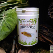 Drosofix 500 g – Nutritional Substrate for Drosophila