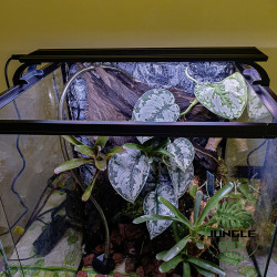 Lampe LED 19W Extra Plate pour Terrarium – Puissante & Éco