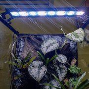 Lampe LED 19W Extra Plate pour Terrarium – Puissante & Éco