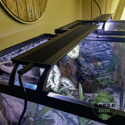 Led 10 w extra plate