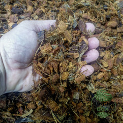 coconut husk chips