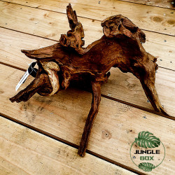 Root SinkNature  40 and 60 cm (F)