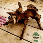 Root SinkNature  40 and 60 cm (F)