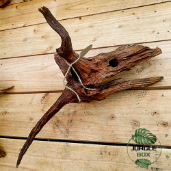 Root SinkNature  40 and 60 cm (F)