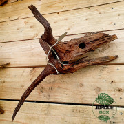 Root SinkNature  40 and 60 cm (F)