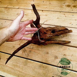 Racine SinkNature 40-60 cm – Décoration naturelle pour aquarium