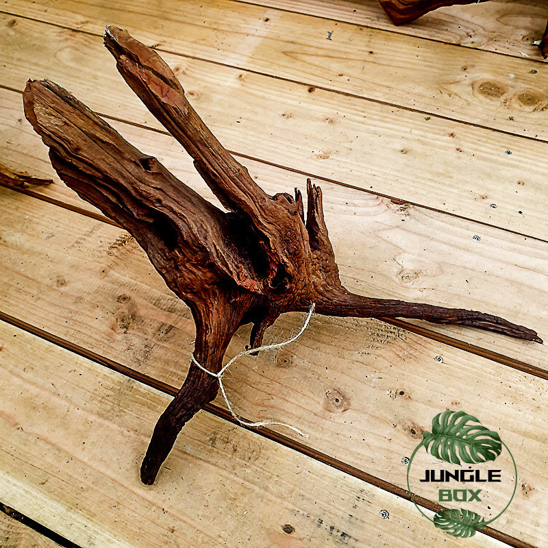 Root SinkNature  40 and 60 cm (F)