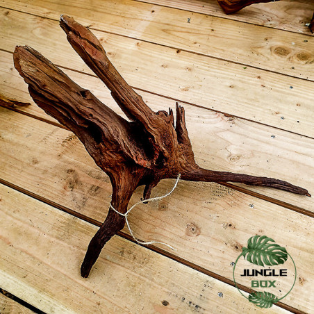 Root SinkNature  40 and 60 cm (F)