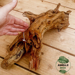 Racine SinkNature 40-60 cm – Décoration naturelle pour aquarium