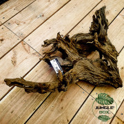 RACINE MANGROVE GM 40-60CM