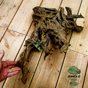 ROOT MANGROVE 40/60 cm