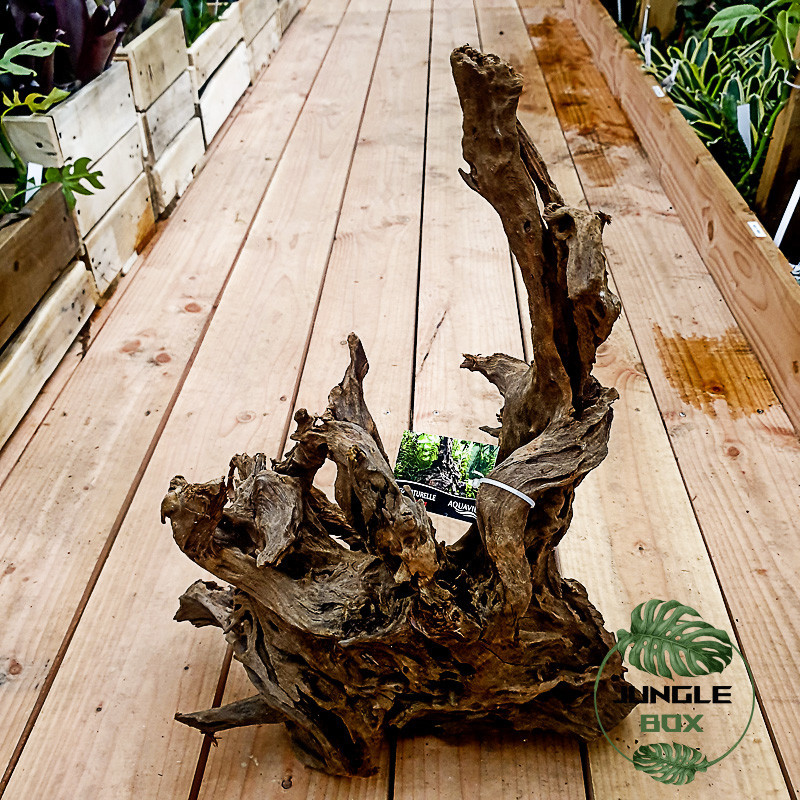 ROOT MANGROVE 40/60 cm