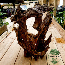 RACINE MANGROVE GM 40-60CM